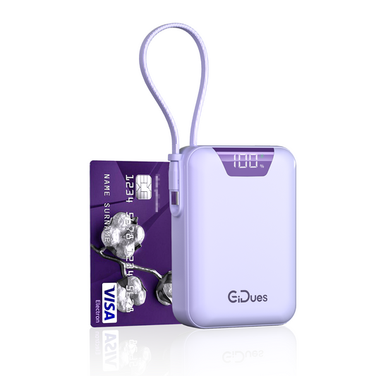 Gidues Mini2